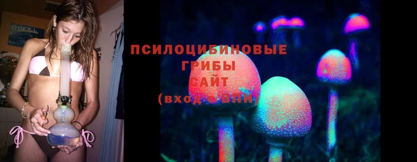 крисы Краснотурьинск