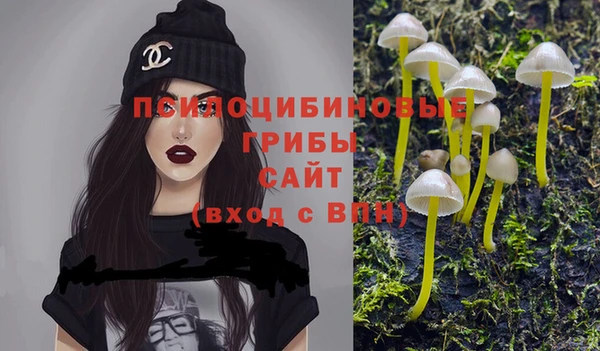 крисы Краснотурьинск