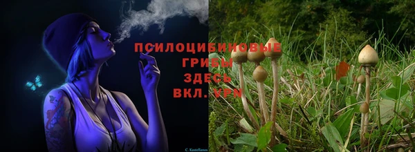 ALPHA-PVP Уссурийск