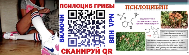 Галлюциногенные грибы Psilocybine cubensis  что такое наркотик  blacksprut онион  Чекалин 